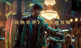 李易峰爆料细节视频大全,揭秘明星幕后故事